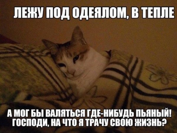 Приколы в стиле "регресс"