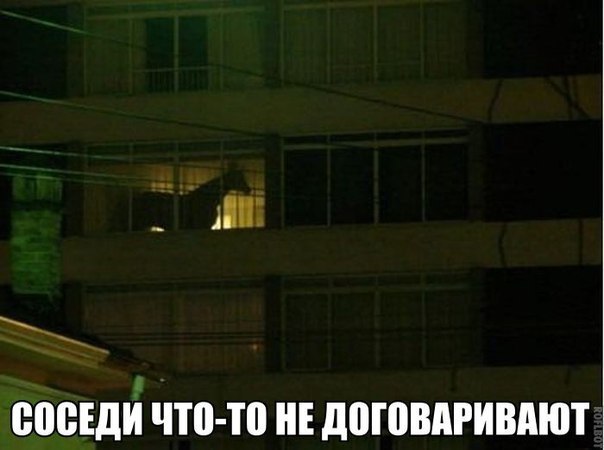 130 картинок для поднятия настроения!