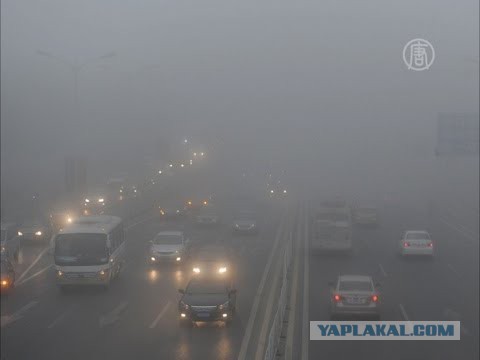 Вы все еще верите, что электромобили спасут Землю? Заказуха от "нефтяников"