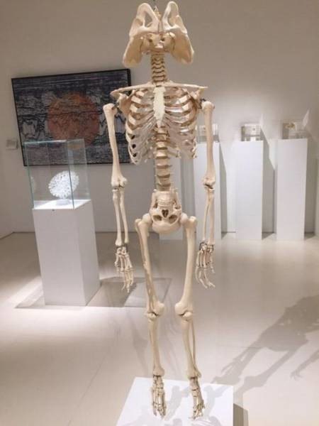 Медицинской дегенерации давненько не было, не так ли?