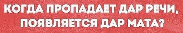 Прикольные картинки обо всём