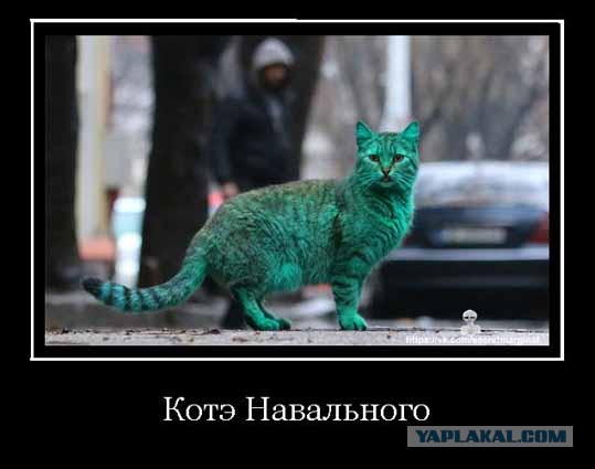 Вот откуда жесткость и жестокость задержаний в Москве