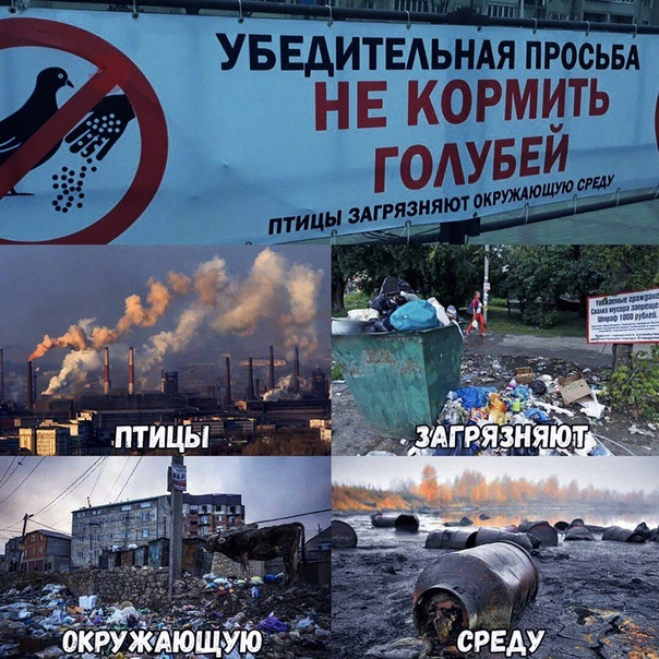 Бредзона 26.10.19