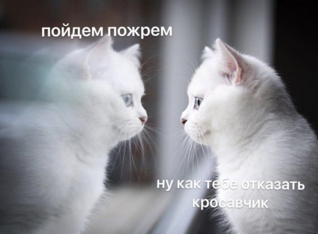 Картинки с надписями и анекдоты 17.11.19