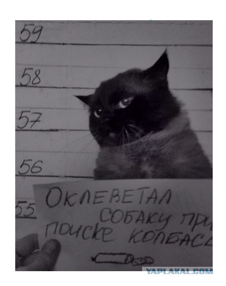 Суровая правда, почему женщины отказывают хорошим мужчинам, а потом страдают и выходят замуж за неудачников