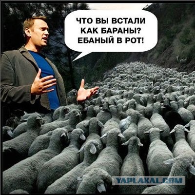 Цитаты Незнайки (Николай Носов)