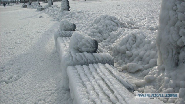 Немного зимних фото
