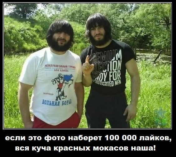 Зачем читать? Раз красный, надо брать!