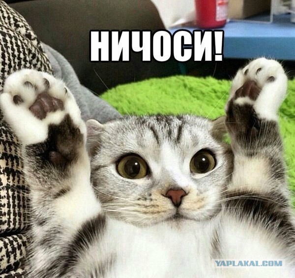 Древние мемы с ВК. Для тех кто забыл #6