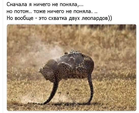 Так себе картинки 11.05.20