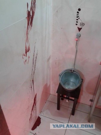 Туалеты мира