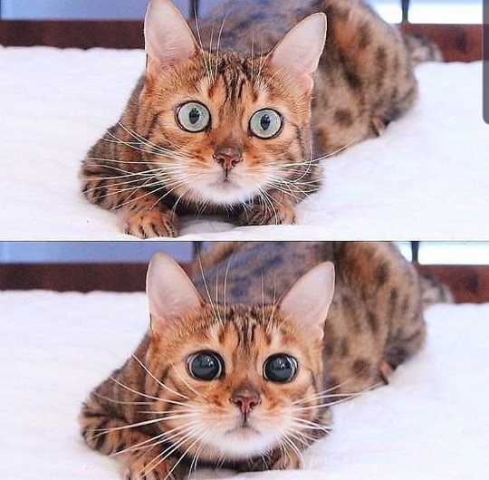 Чуток картинок 25.06.20