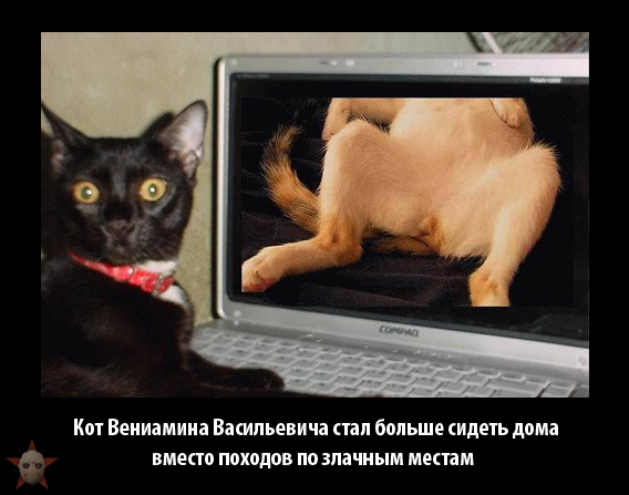 Звезды - о кризисе