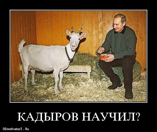 Даже не знаю как назвать этот инцидент