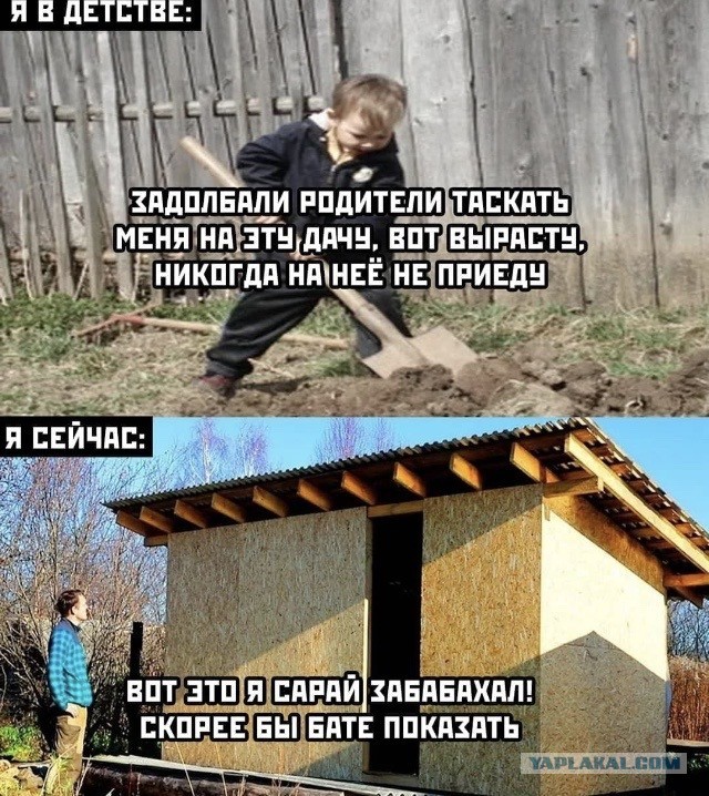 Юмор в картинках 20.07.20
