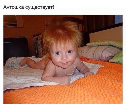 Прикольные и просто красивые картинки 10.08.2020