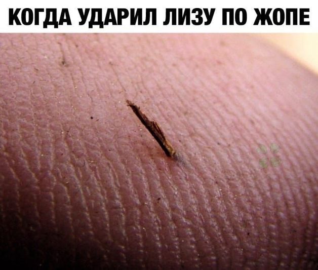 Всё не зря