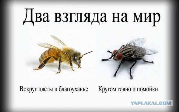 Похоже Трамп побеждает...