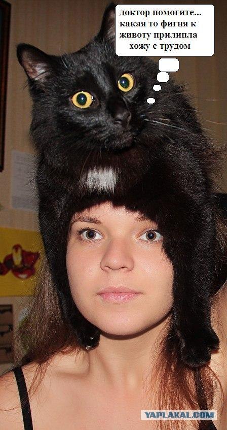 Эпичный кот