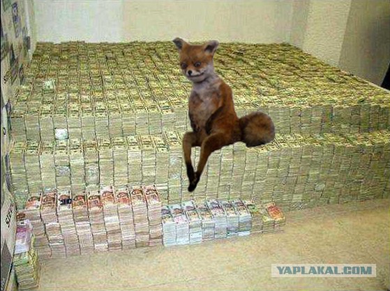 Таксидермия + наркомания