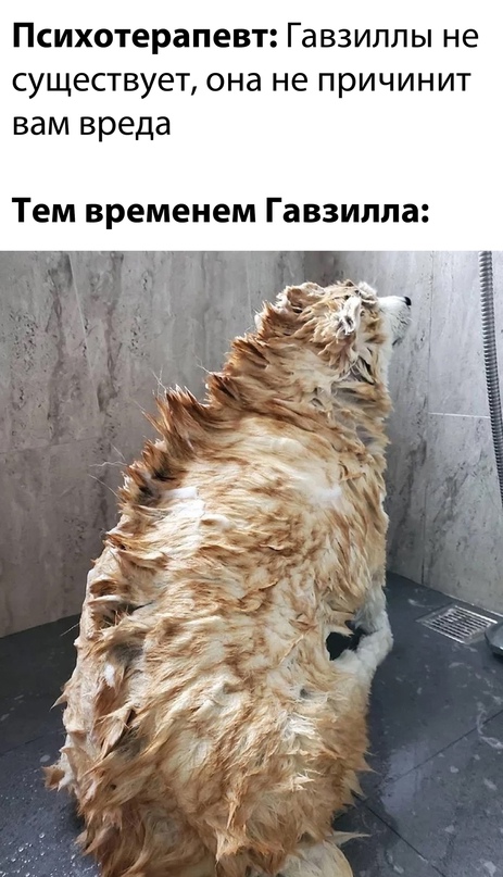 Картинки и мемы для настроения 27.04.2021