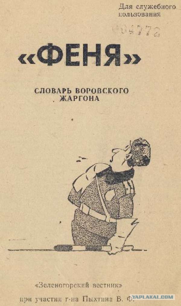 Начал слышать голоса в голове. Даже диалог какой-то вести пытаются
