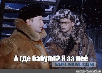 Пуля в морду