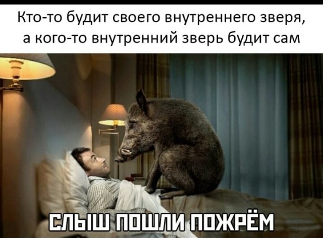Просто картинки 05.07.2021