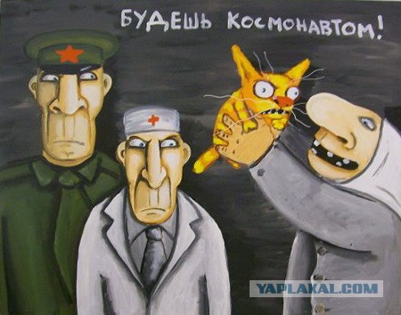 Освоение Сибири: как власти хотят построить новые города-миллионники