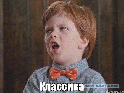 Коттеджный поселки под Санкт-Петербургом превратились в ничто