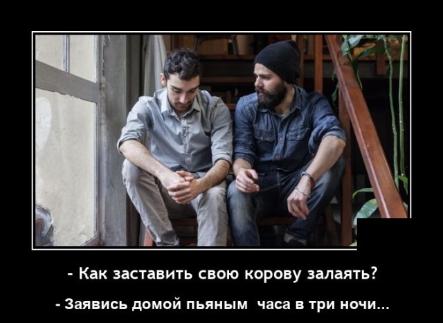Алкопост 8.10.21