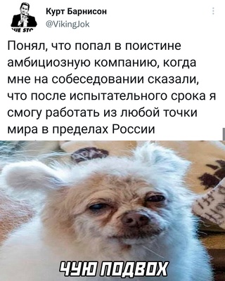 Картинки и мемы для настроения  -  9