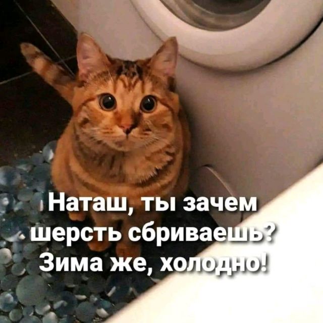 Картинки и буквы 15.07.22