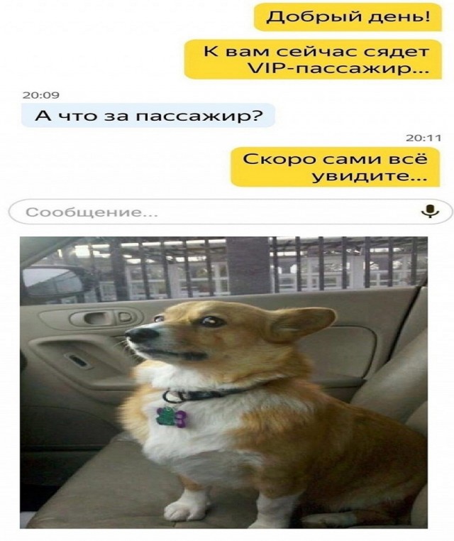 Картинки и мемы для настроения - 14