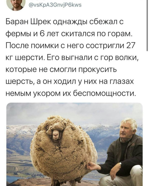 50 оттенков серого. Vol.15 Или самосвал баянов