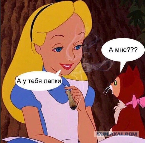 Долина, чудная долина...