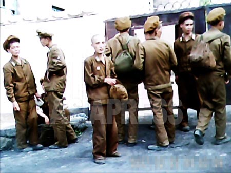 Северная Корея "в цвете"