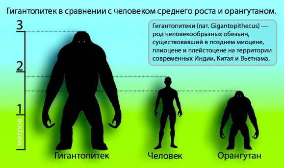 Куда делись коренные обитатели планеты?