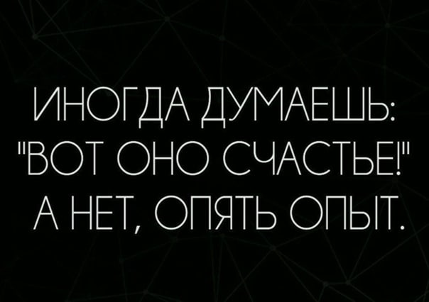 Весёлый полтишок 08.08.22