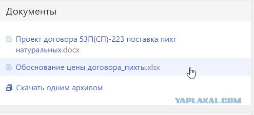 Новогодние елки для российских чиновников закупят в Польше