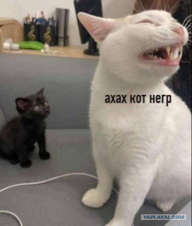 Народная меДИЧина 3018