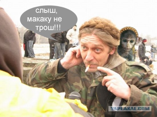 Закос под Тимошенко.