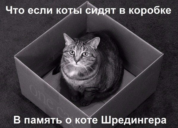 Тлидцать тли от 26 февлаля