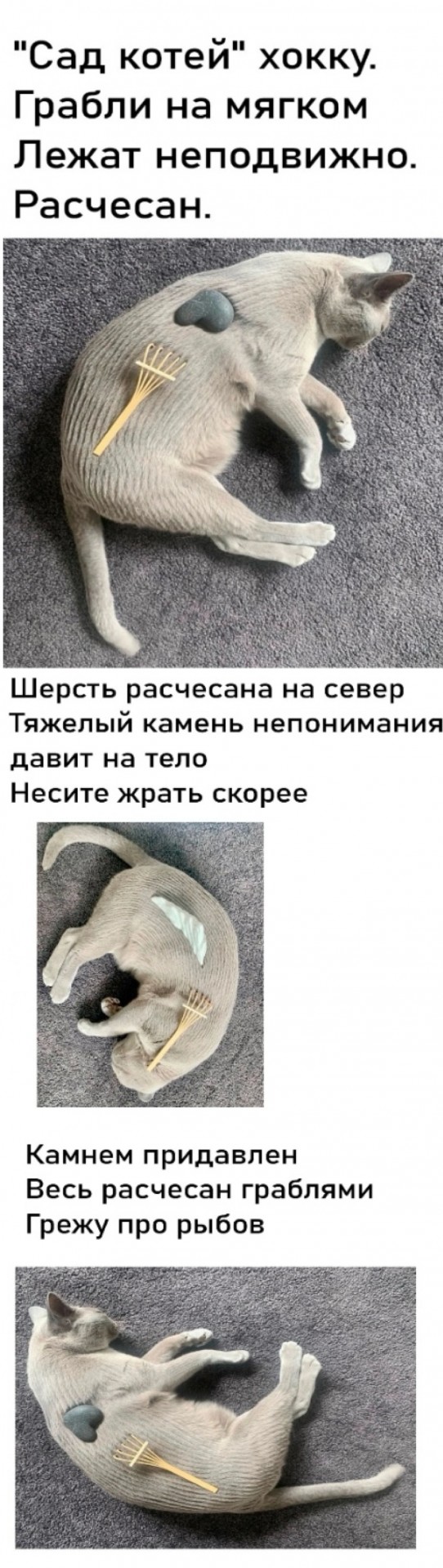 Никакие картинки