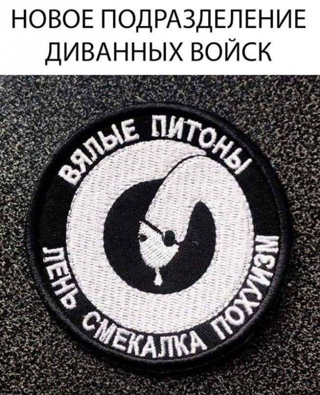 Заключительные баяны на этой неделе