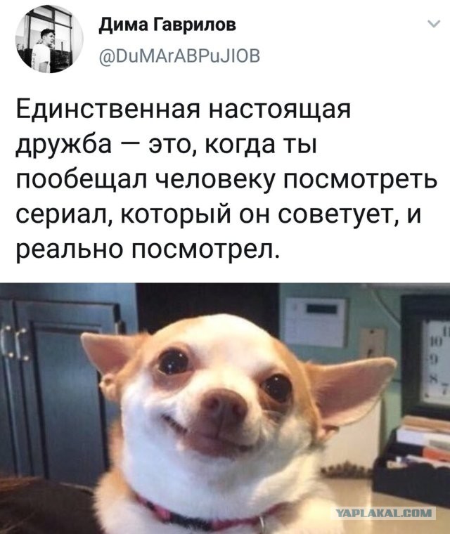 Завалялось тут случайно немного забавных картинок