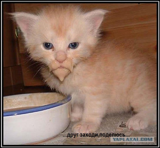 Мне то оставь!