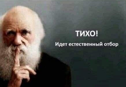 В Госдуме предложили провести в России «демографическую спецоперацию» по повышению рождаемости