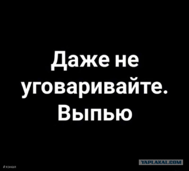 ⚡ ЯП, с Днем Рождения! 21 год ЯПу!