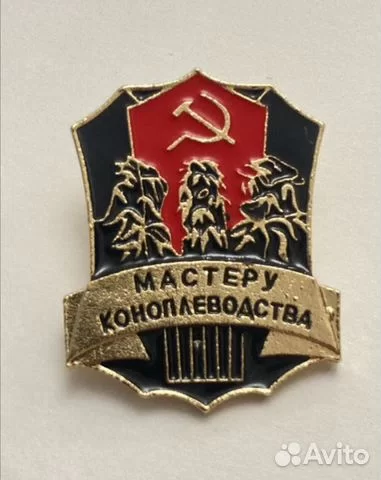 43-летний житель Подмосковья оборудовал в своём доме три теплицы с лампами, вентиляцией и поливом и выращивал коноплю «для себя»